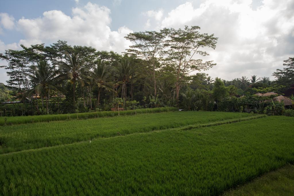 Alosta Luxury Private Pousada Ubud